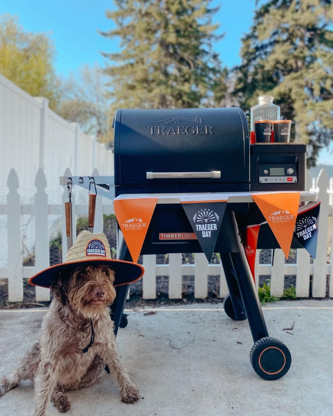 Traeger Timberline 850 WiFi-Enabled Pellet Grill