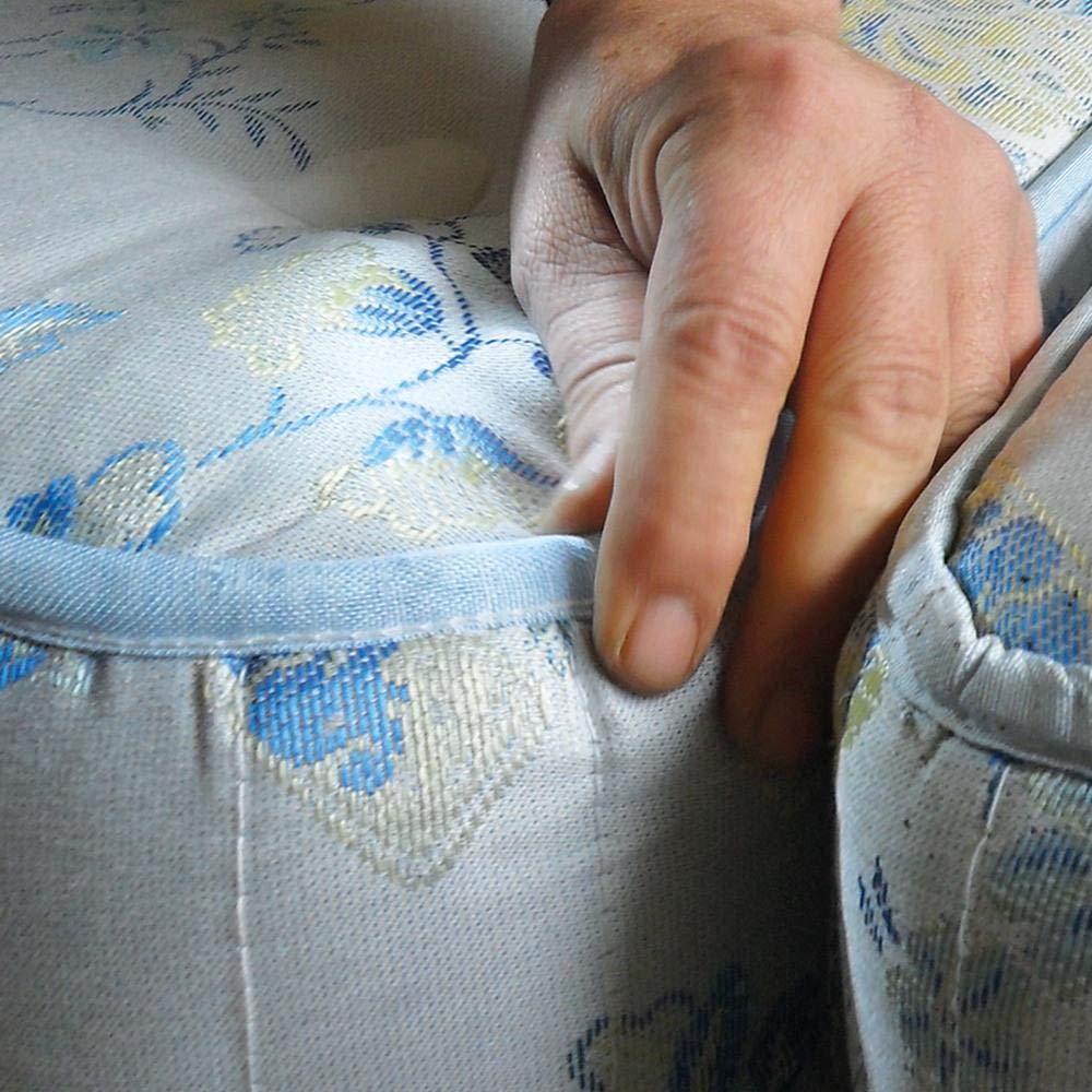 Polti PTEU0234 Cimex Eradicator_Gerät zum natürlichen Entwesen von Bettwanzen mit Trockendampf mit einer Temperatur von 180° ohne Insektizide, 18/8 Edelstahl, weiß